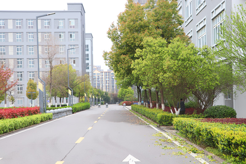 IMG_9004_副本.jpg