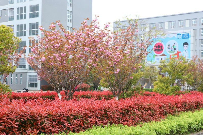 IMG_9005_副本.jpg